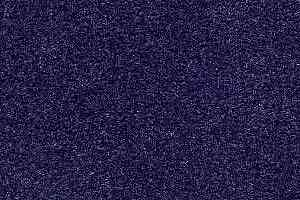 Ковролин Radici Admiral Midnight 2213 фото  | FLOORDEALER